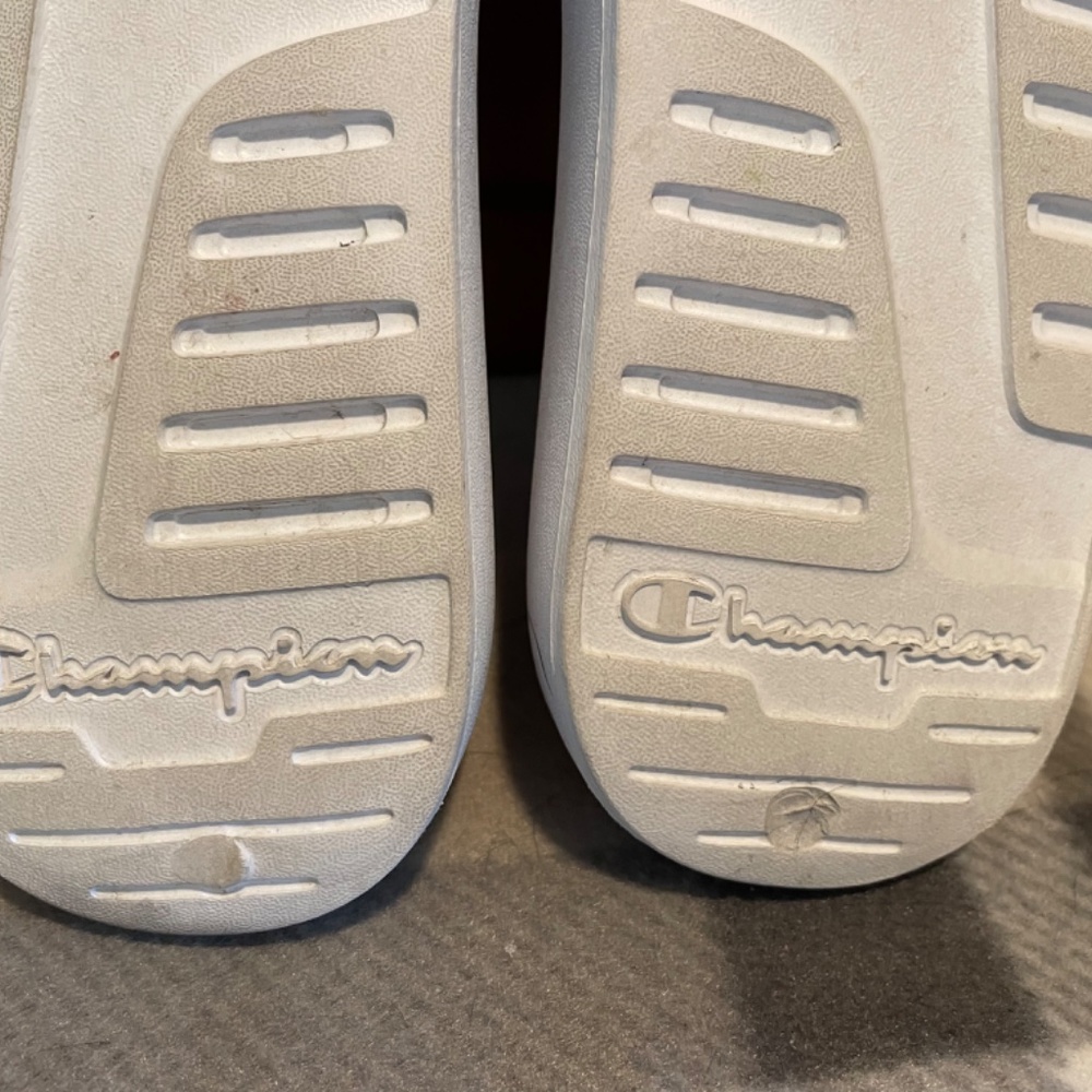 Champion slides - Picture 3 of 6